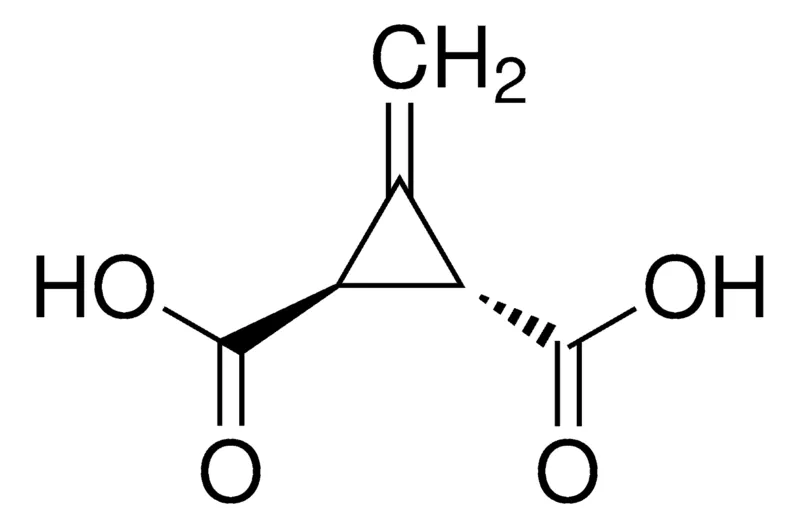 Sigma-Aldrich 3-METHYLENE-1,2-CYCLOPROPANEDICARBOXYLIC ACID,AldrichCPR
