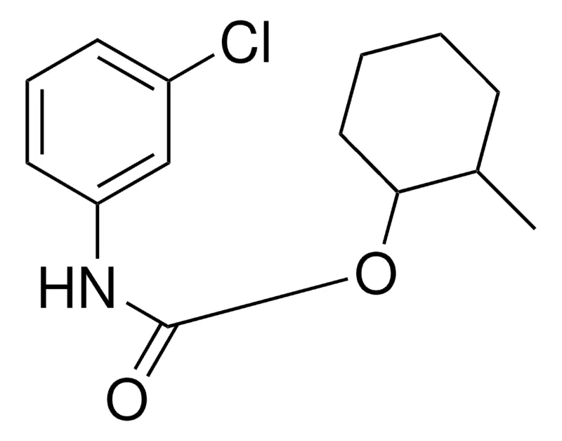 Sigma-Aldrich 2-METHYLCYCLOHEXYL N-(3-CHLOROPHENYL)CARBAMATE,AldrichCPR