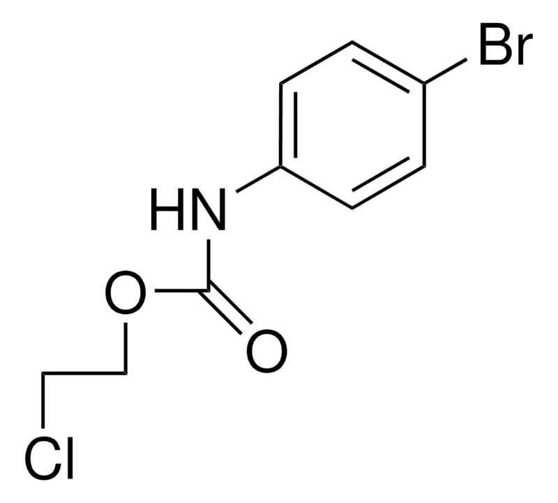 Sigma-Aldrich 2-CHLOROETHYL N-(4-BROMOPHENYL)CARBAMATE,AldrichCPR