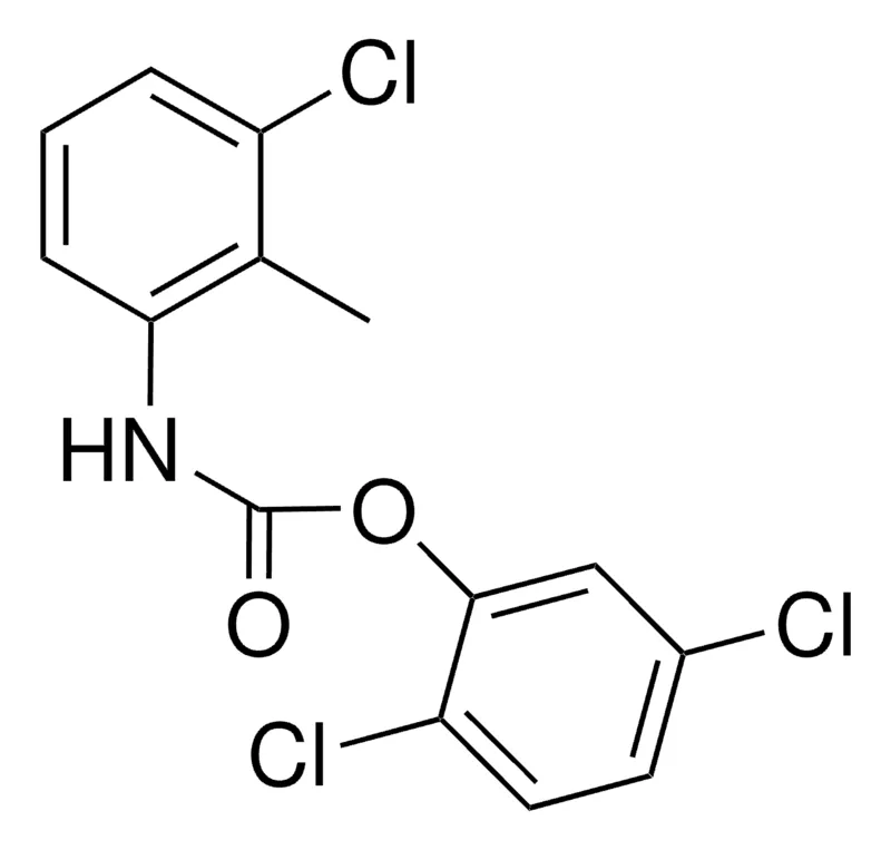 Sigma-Aldrich 2,5-DICHLOROPHENYL N-(3-CHLORO-2-METHYLPHENYL)CARBAMATE,AldrichCPR