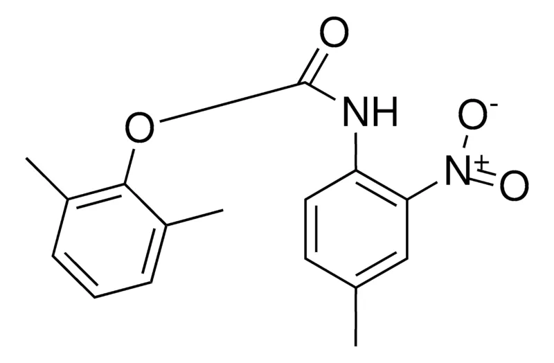 Sigma-Aldrich 2,6-XYLYL N-(4-METHYL-2-NITROPHENYL)CARBAMATE,AldrichCPR
