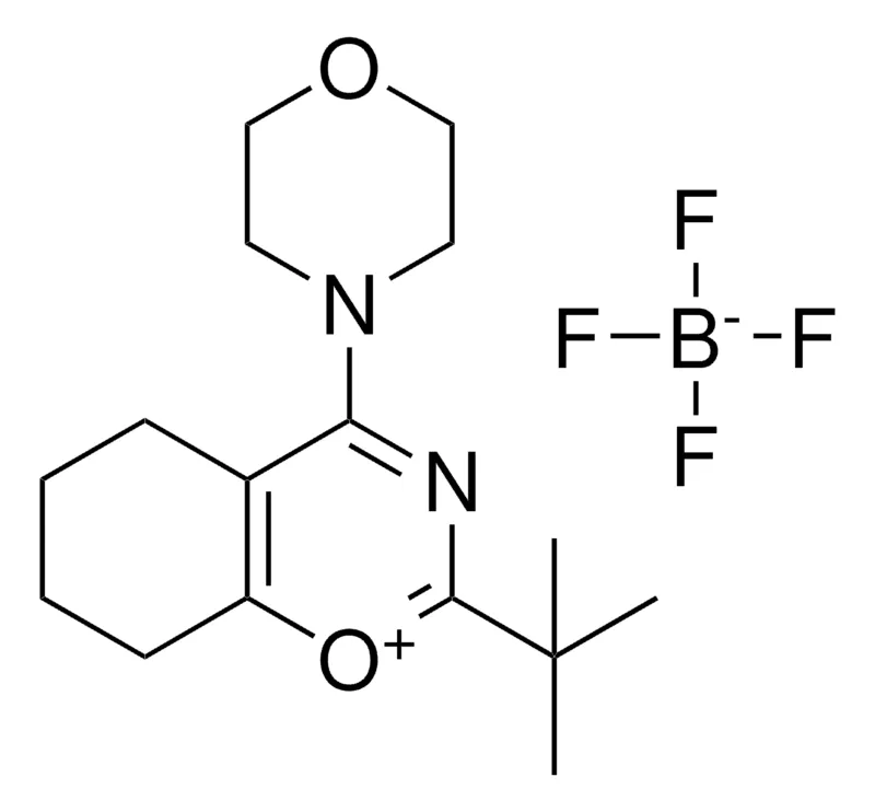 Sigma-Aldrich 2-TERT-BUTYL-4-MORPHOLIN-4-YL-4H-BENZO(E)(1,3)OXAZIN-1-YLIUM, TETRAFLUORO BORATE,AldrichCPR