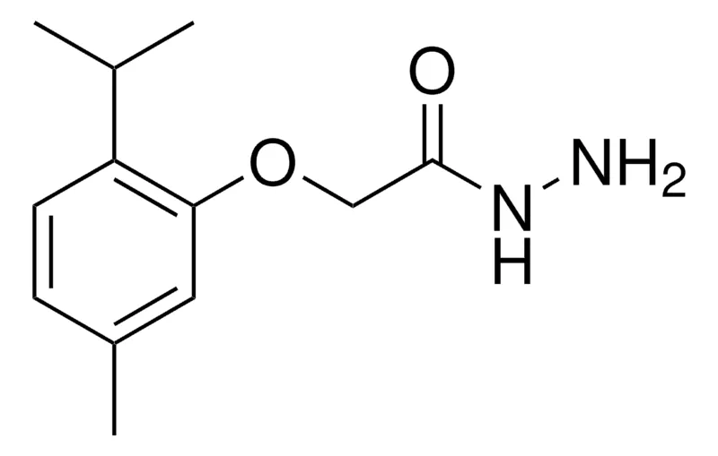 Sigma-Aldrich 2-(2-ISOPROPYL-5-METHYL-PHENOXY)-ACETIC ACID HYDRAZIDE,AldrichCPR