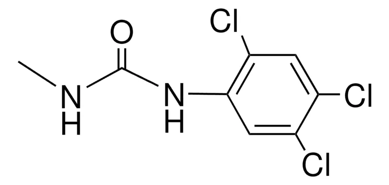 Sigma-Aldrich 1-METHYL-3-(2,4,5-TRICHLOROPHENYL)UREA,AldrichCPR