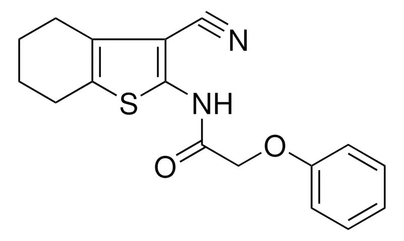 Sigma-Aldrich N-(3-CYANO-4,5,6,7-TETRAHYDRO-BENZO(B)THIOPHEN-2-YL)-2-PHENOXY-ACETAMIDE,AldrichCPR