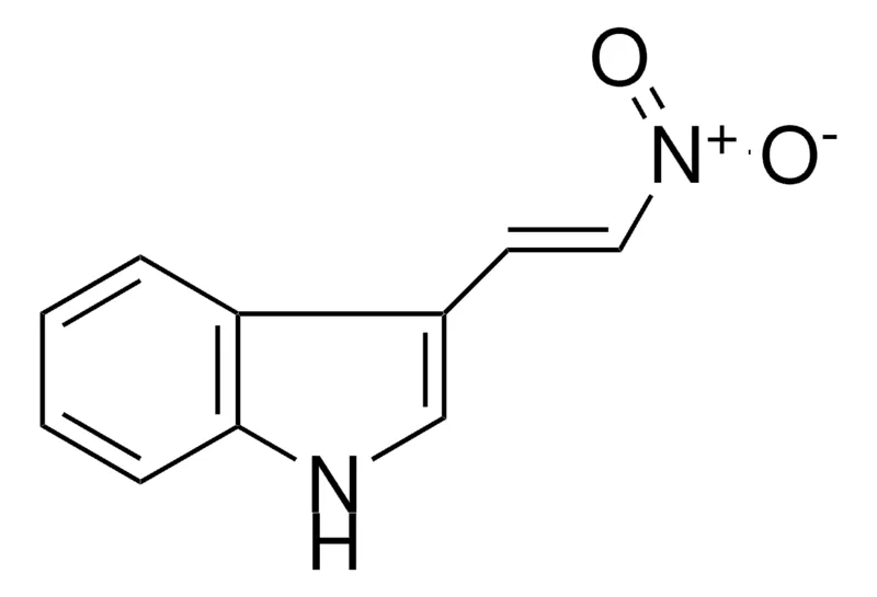 Sigma-Aldrich 3-(2-NITROVINYL)INDOLE,AldrichCPR