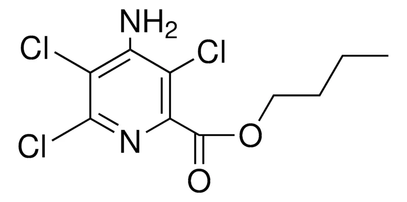 Sigma-Aldrich 4-AMINO-3,5,6-TRICHLORO-PYRIDINE-2-CARBOXYLIC ACID BUTYL ESTER,AldrichCPR