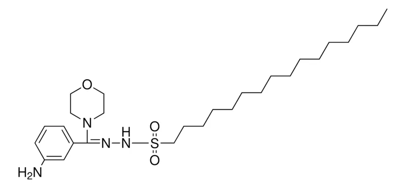 Sigma-Aldrich 1-HEXADECANESULFONIC ACID 2-(3-AMINO-ALPHA-MORPHOLINOBENZYLIDENE)-HYDRAZIDE,AldrichCPR