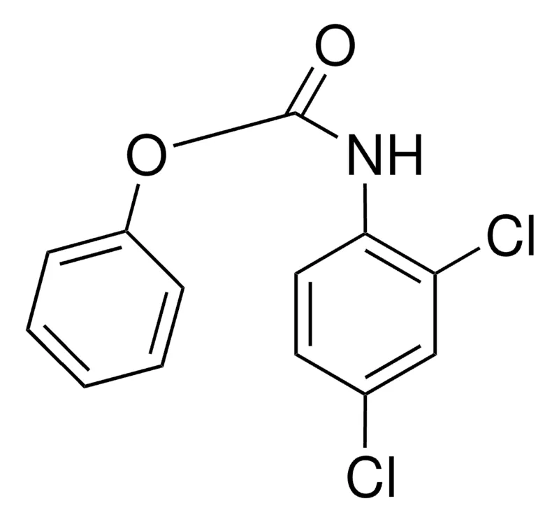 Sigma-Aldrich PHENYL N-(2,4-DICHLOROPHENYL)CARBAMATE,AldrichCPR