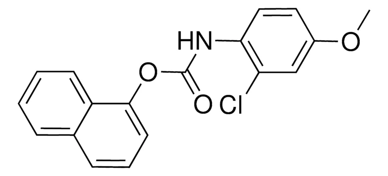 Sigma-Aldrich 1-NAPHTHYL N-(2-CHLORO-4-METHOXYPHENYL)CARBAMATE,AldrichCPR