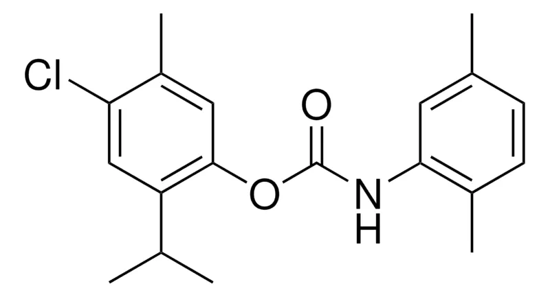 Sigma-Aldrich 4-CHLORO-2-ISOPROPYL-5-METHYLPHENYL N-(2,5-XYLYL)CARBAMATE,AldrichCPR