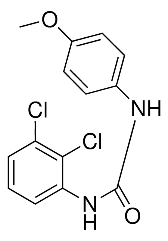 Sigma-Aldrich 1-(2,3-DICHLOROPHENYL)-3-(4-METHOXYPHENYL)UREA,AldrichCPR