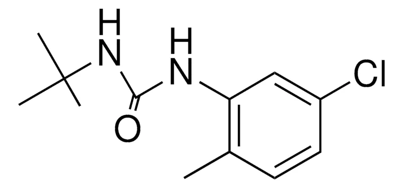 Sigma-Aldrich 1-TERT-BUTYL-3-(5-CHLORO-2-METHYLPHENYL)UREA,AldrichCPR