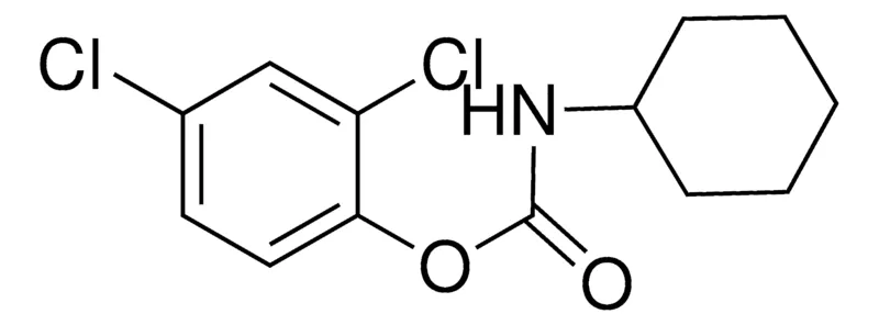 Sigma-Aldrich 2,4-DICHLOROPHENYL N-CYCLOHEXYLCARBAMATE,AldrichCPR