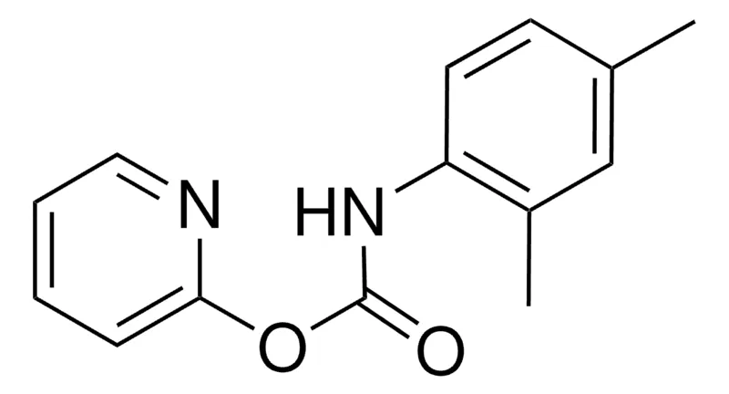 Sigma-Aldrich 2-PYRIDYL N-(2,4-XYLYL)CARBAMATE,AldrichCPR