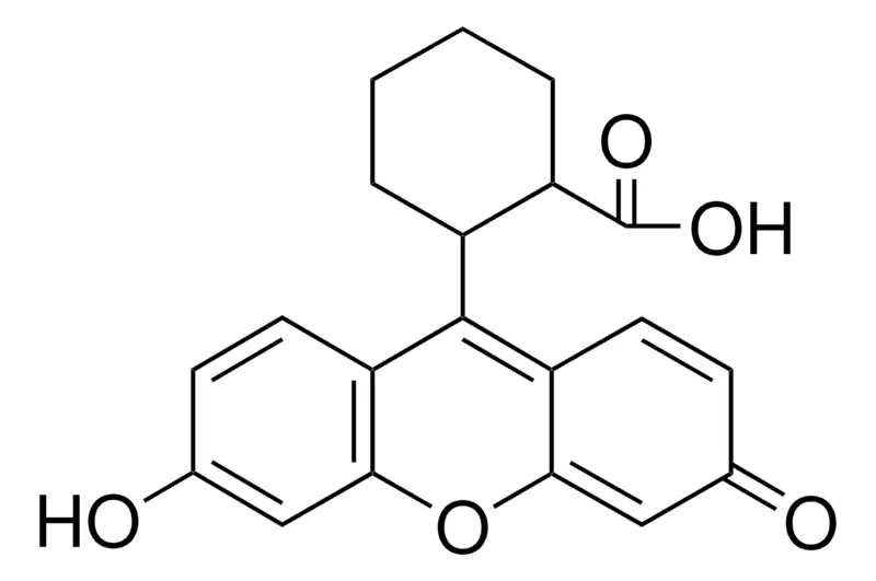 Sigma-Aldrich 2-(6-HYDROXY-3-OXO-3H-XANTHEN-9-YL)-CYCLOHEXANECARBOXYLIC ACID，AldrichCPR
