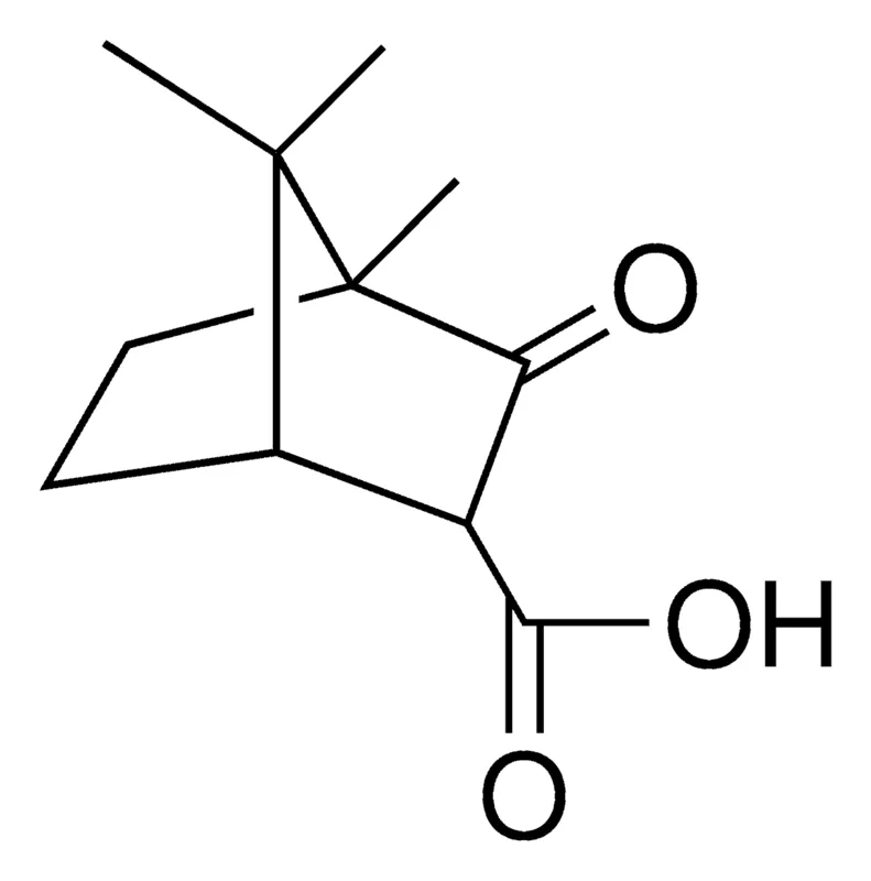 Sigma-Aldrich (+/-)-3-CAMPHORCARBOXYLIC ACID,AldrichCPR