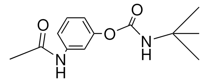 Sigma-Aldrich 3-ACETAMIDOPHENYL N-(TERT-BUTYL)CARBAMATE,AldrichCPR
