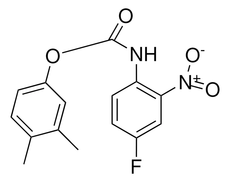 Sigma-Aldrich 3,4-XYLYL N-(4-FLUORO-2-NITROPHENYL)CARBAMATE,AldrichCPR