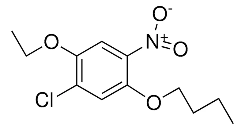 Sigma-Aldrich 1-BUTOXY-5-CHLORO-4-ETHOXY-2-NITROBENZENE,AldrichCPR