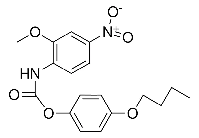 Sigma-Aldrich 4-BUTOXYPHENYL N-(2-METHOXY-4-NITROPHENYL)CARBAMATE,AldrichCPR