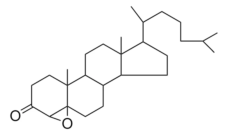 Sigma-Aldrich 4,5-EPOXY-3-CHOLESTANONE,AldrichCPR