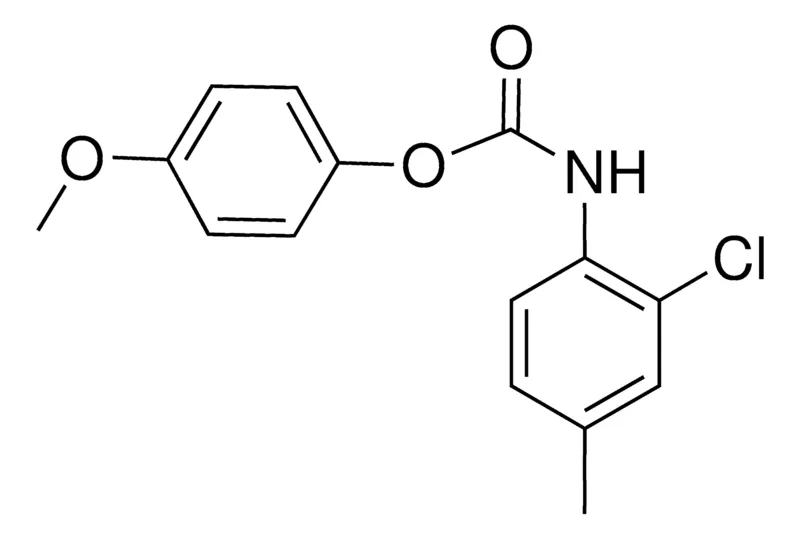 Sigma-Aldrich 4-METHOXYPHENYL N-(2-CHLORO-4-METHYLPHENYL)CARBAMATE,AldrichCPR