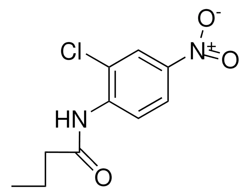 Sigma-Aldrich 2'-CHLORO-4'-NITROBUTYRANILIDE,AldrichCPR