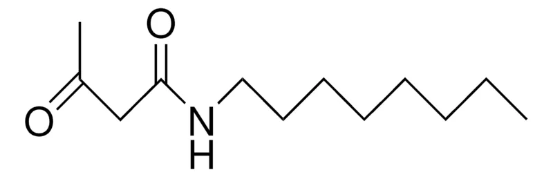 Sigma-Aldrich N-OCTYLACETOACETAMIDE，AldrichCPR