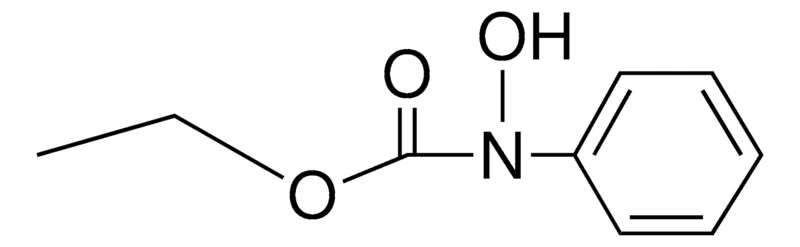 Sigma-Aldrich ETHYL N-HYDROXY-N-PHENYLCARBAMATE,AldrichCPR