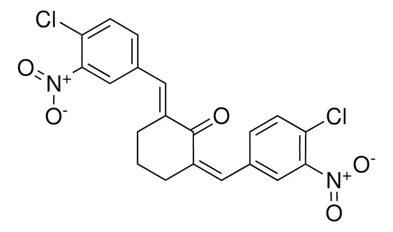 Sigma-Aldrich 2,6-BIS(4-CHLORO-3-NITROBENZYLIDENE)-1-CYCLOHEXANONE,AldrichCPR