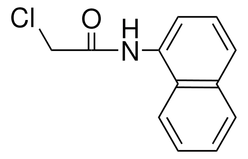 Sigma-Aldrich 2-CHLORO-N-(1-NAPHTHYL)-ACETAMIDE,AldrichCPR