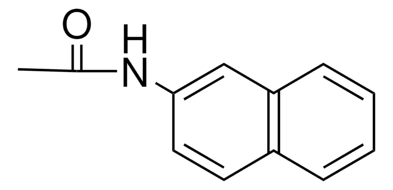 Sigma-Aldrich 2-ACETAMIDONAPHTHALENE,AldrichCPR