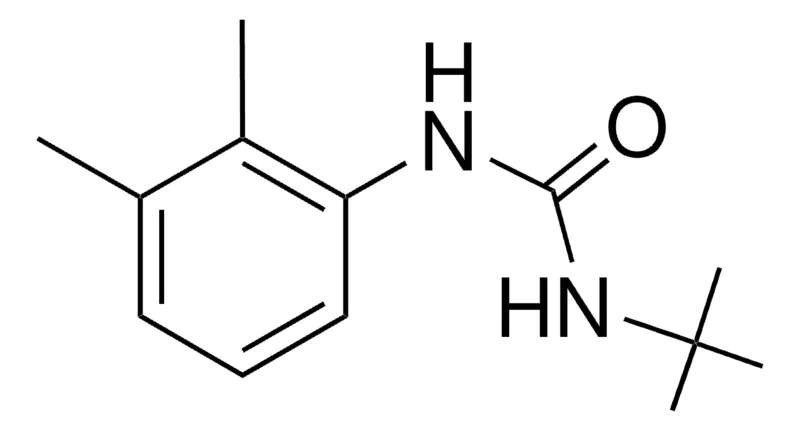 Sigma-Aldrich 1-TERT-BUTYL-3-(2,3-XYLYL)UREA,AldrichCPR
