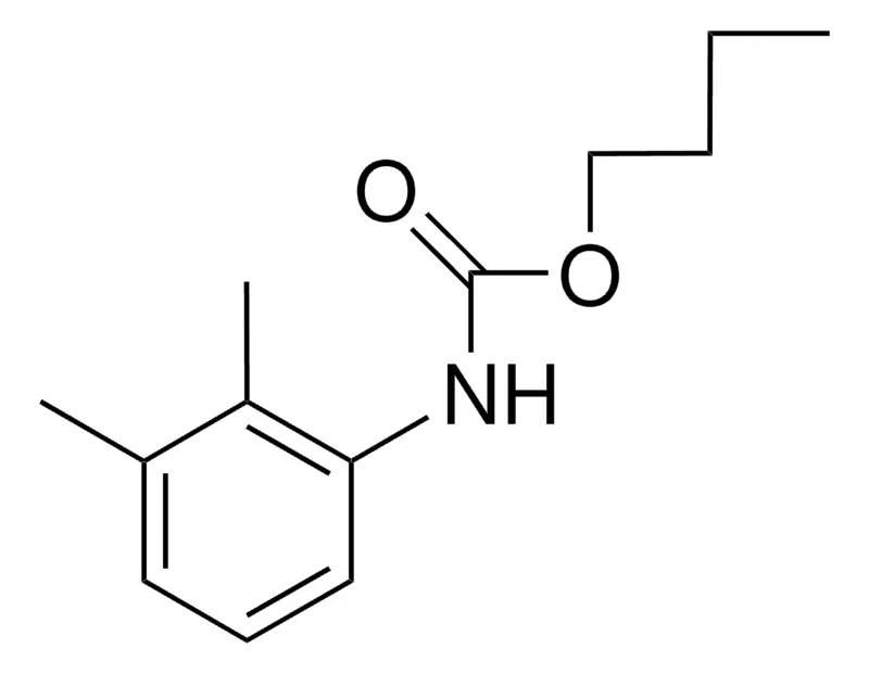 Sigma-Aldrich BUTYL N-(2,3-XYLYL)CARBAMATE,AldrichCPR
