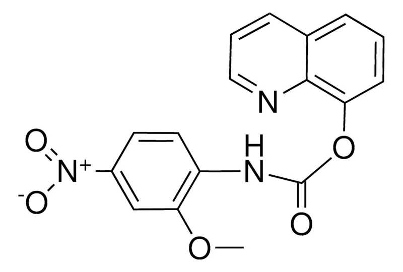 Sigma-Aldrich 8-QUINOLYL N-(2-METHOXY-4-NITROPHENYL)CARBAMATE,AldrichCPR
