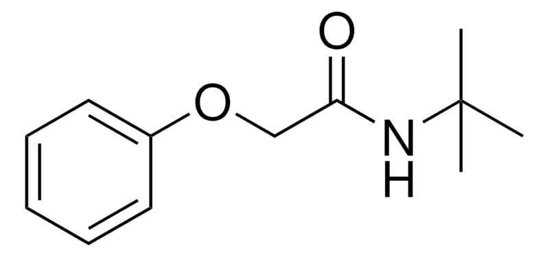 Sigma-Aldrich N-TERT-BUTYL-2-PHENOXY-ACETAMIDE,AldrichCPR
