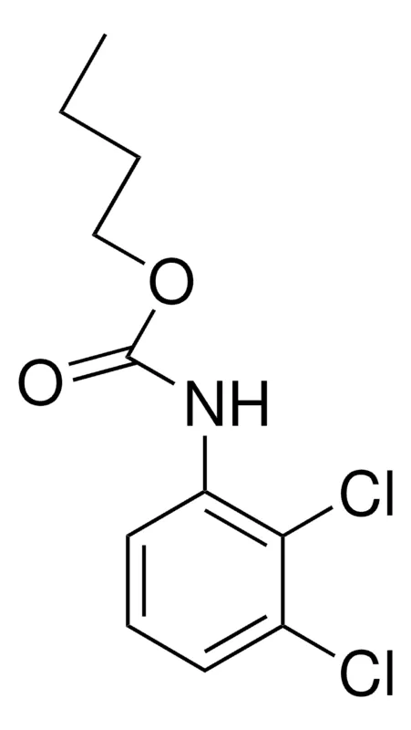 Sigma-Aldrich BUTYL N-(2,3-DICHLOROPHENYL)CARBAMATE，AldrichCPR