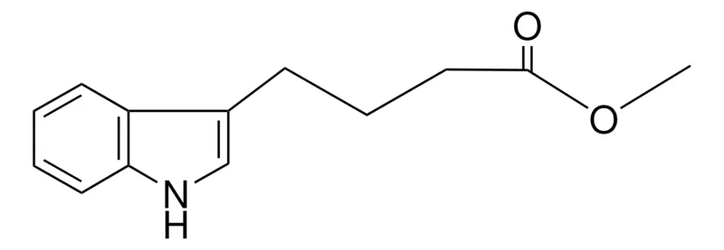 Sigma-Aldrich METHYL 3-INDOLEBUTYRATE,AldrichCPR
