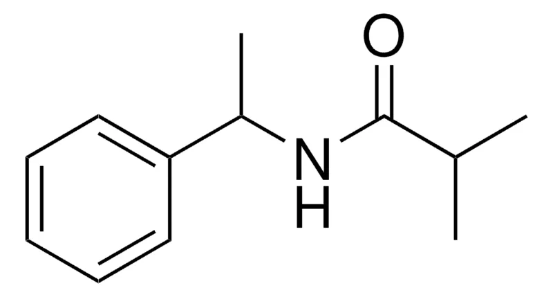 Sigma-Aldrich N-(1-PHENYL-ETHYL)-ISOBUTYRAMIDE，AldrichCPR