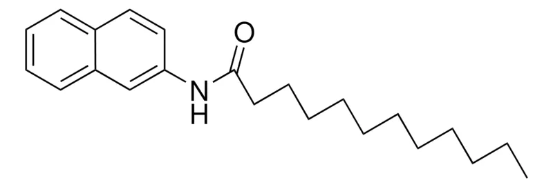 Sigma-Aldrich N-(2-NAPHTHYL)DODECANAMIDE，AldrichCPR