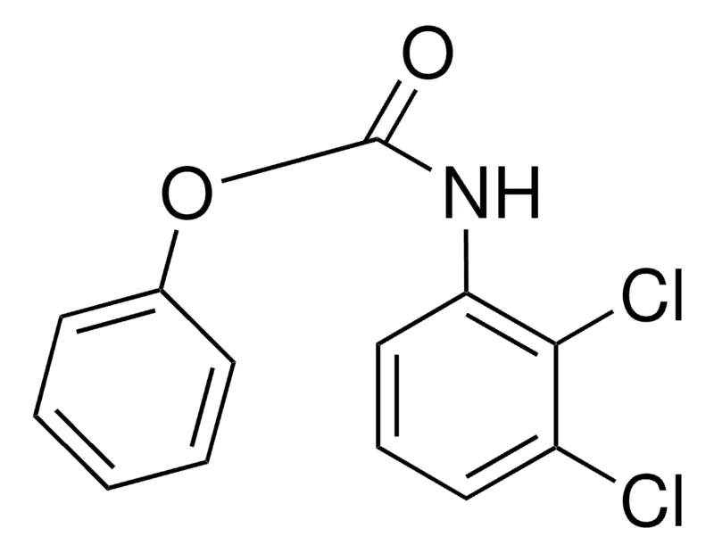Sigma-Aldrich PHENYL N-(2,3-DICHLOROPHENYL)CARBAMATE,AldrichCPR
