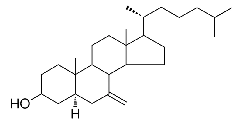 Sigma-Aldrich 7-METHYLENE-5-ALPHA-CHOLESTAN-3-BETA-OL,AldrichCPR
