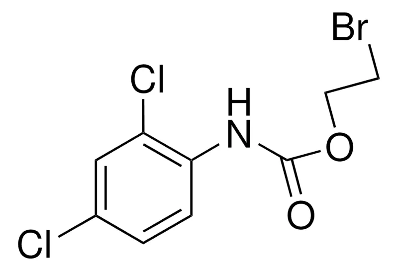 Sigma-Aldrich 2-BROMOETHYL N-(2,4-DICHLOROPHENYL)CARBAMATE,AldrichCPR