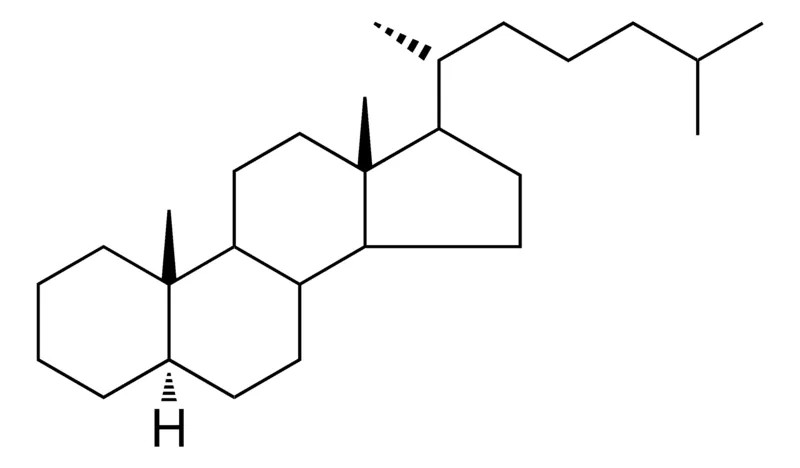Sigma-Aldrich 17-(1,5-DIMETHYL-HEXYL)-10,13-DIMETHYL-HEXADECAHYDRO-CYCLOPENTA(A)PHENANTHRENE,AldrichCPR