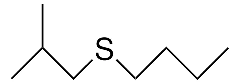 Sigma-Aldrich BUTYL ISOBUTYL SULFIDE,AldrichCPR