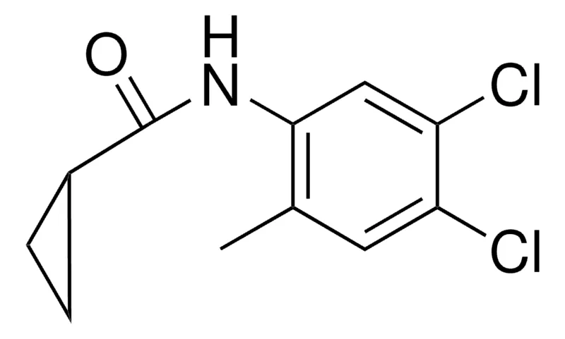 Sigma-Aldrich N-(4,5-DICHLORO-2-METHYLPHENYL)CYCLOPROPANECARBOXAMIDE,AldrichCPR