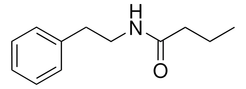 Sigma-Aldrich N-PHENETHYL-BUTYRAMIDE,AldrichCPR