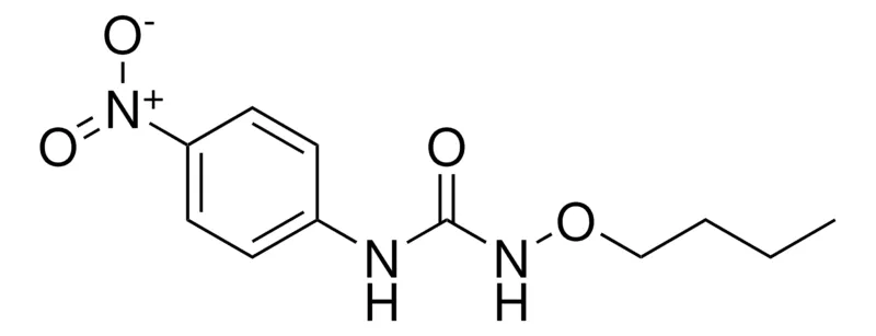 Sigma-Aldrich N-BUTOXY-N'-(4-NITROPHENYL)UREA,AldrichCPR