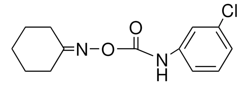 Sigma-Aldrich O-(N-(3-CHLOROPHENYL)CARBAMOYL)CYCLOHEXANONE OXIME,AldrichCPR